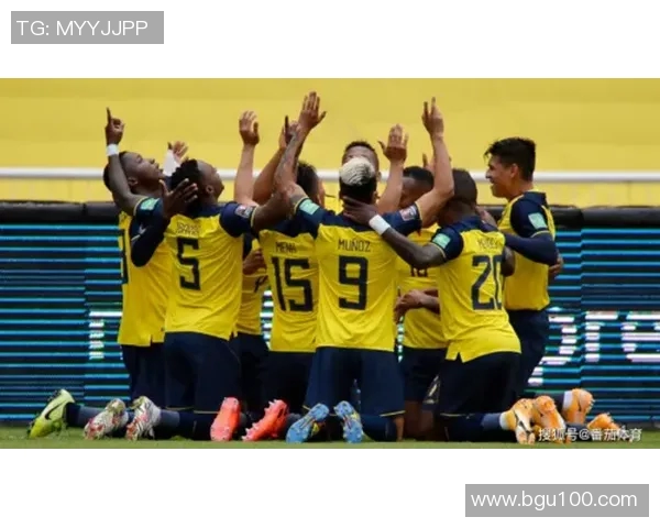 巴西与厄瓜尔多激战正酣谁将赢得南美足球的荣耀之战